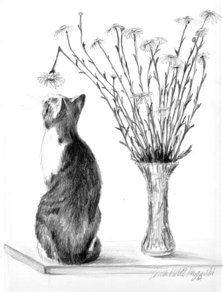 "Conversation With a Daisy," pencil, 8" x 10", 2004 © Bernadette E. Kazmarski