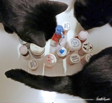 Human medications are always in the top 10 toxins for cats.